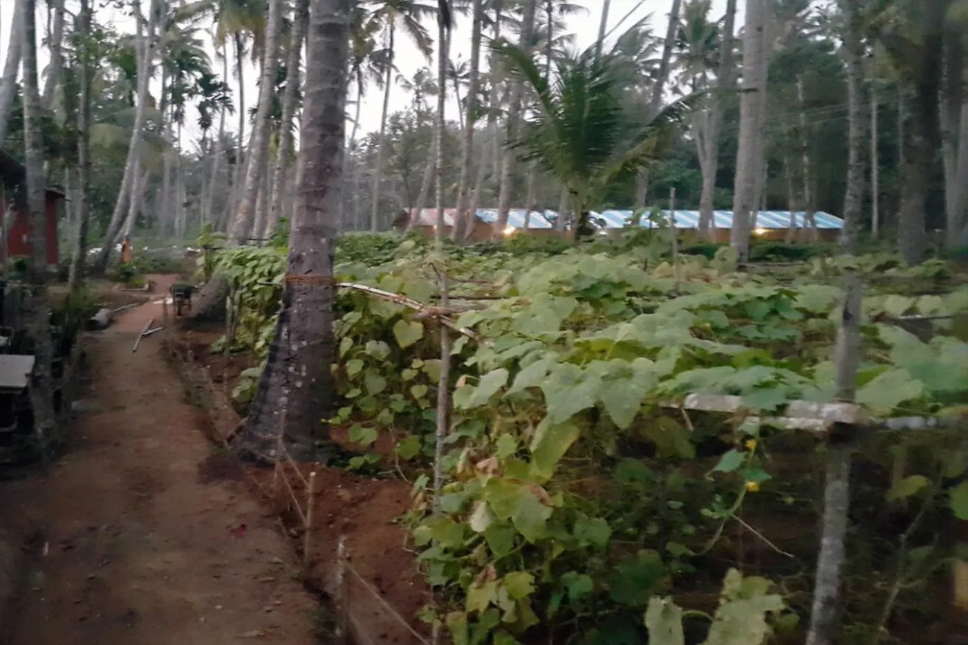 Traditional Kerala Cooking Classes, Varkala