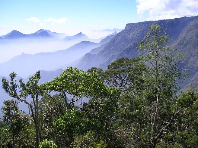 Visit Pillar Rocks, Kodaikanal