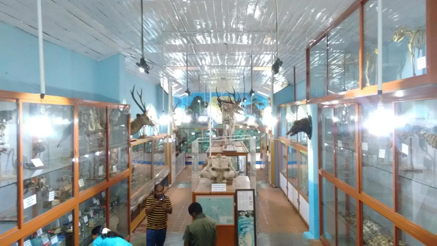 Shembaganur Museum of Natural History, Kodaikanal