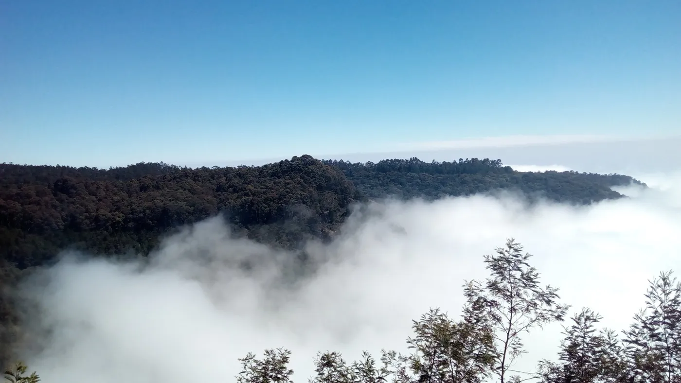 Explore Silent Valley View Point, Kodaikanal