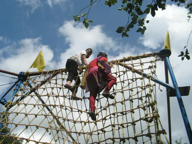 Zipline & Aerial Adventure Parks