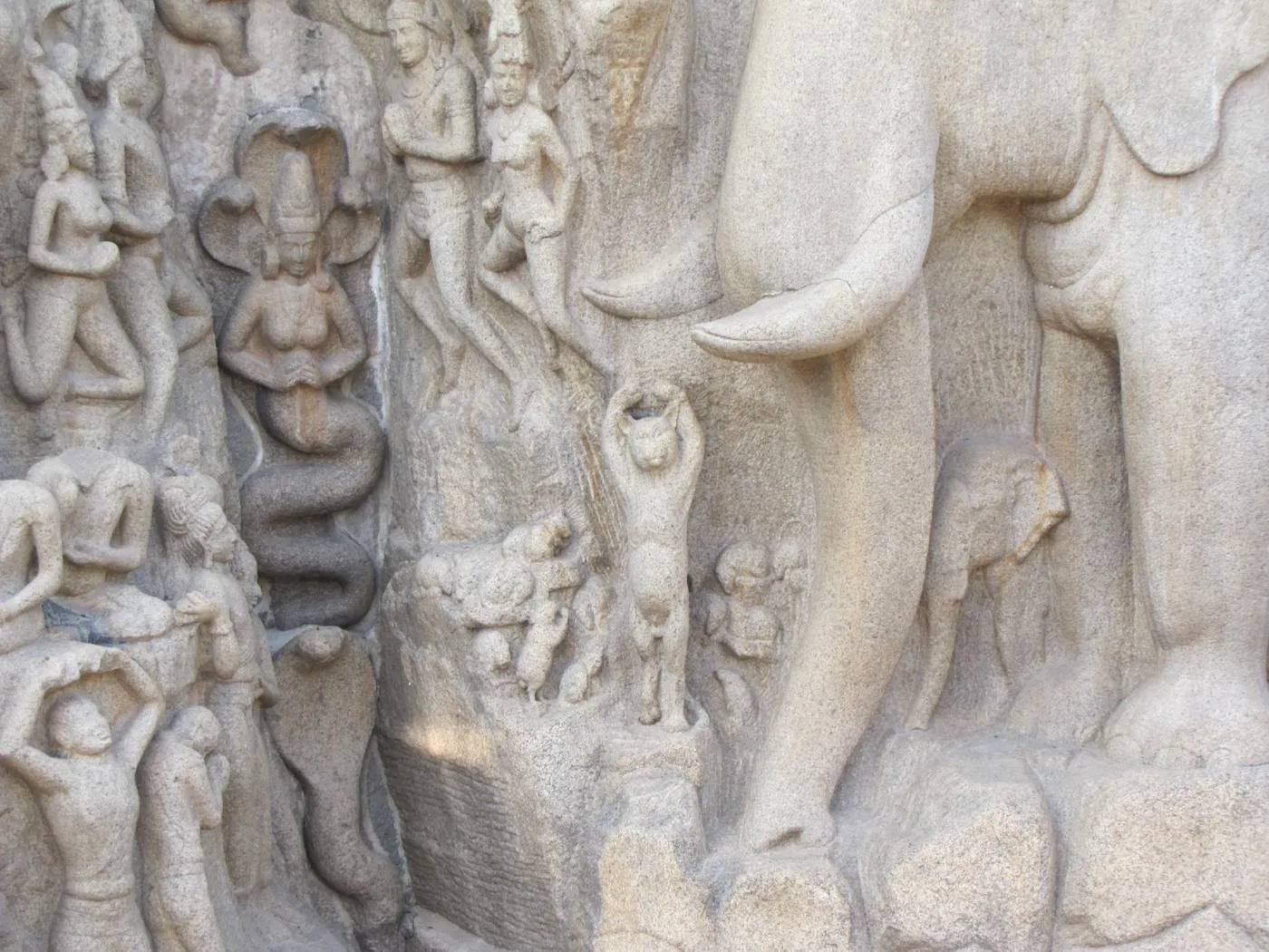 Check out Descent Of The Ganges, Mahabalipuram