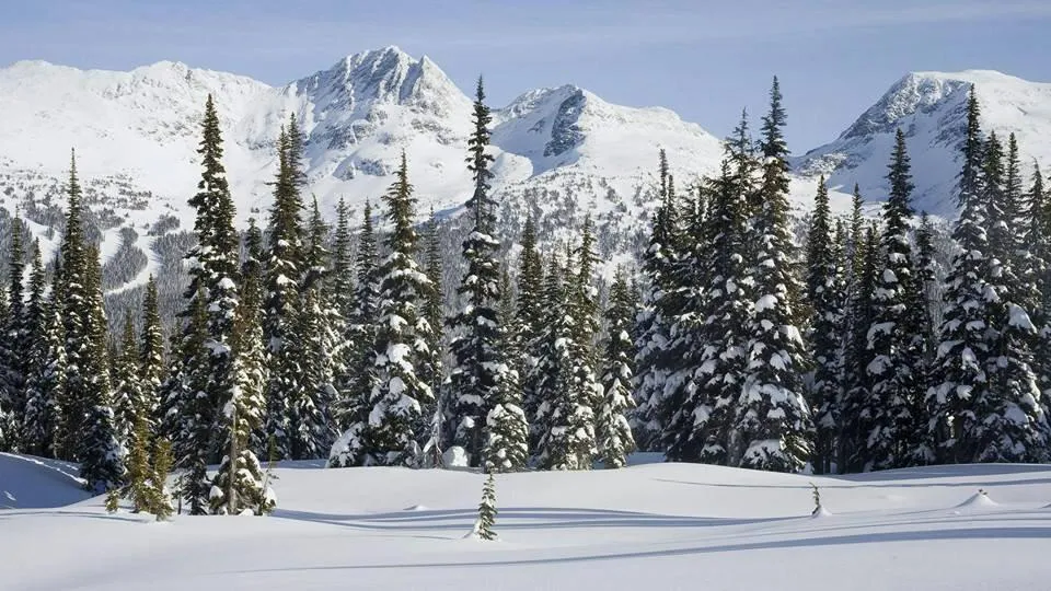 Explore Gulmarg Biosphere Reserve, Gulmarg