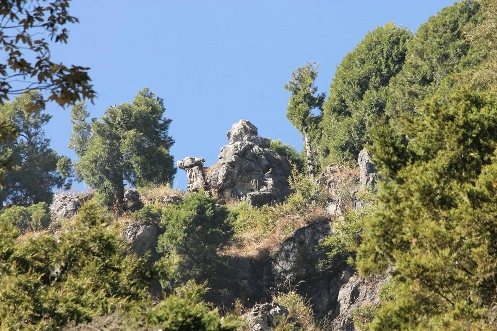 Camel's Back Road, Mussoorie