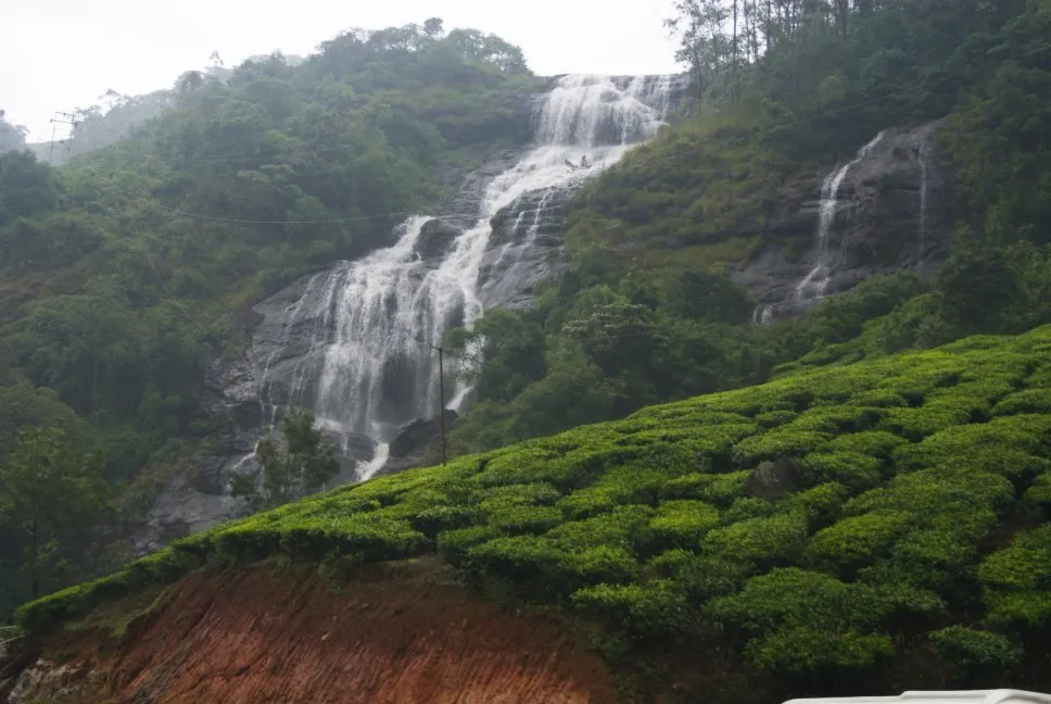 Explore Periyakanal Waterfalls, Munnar
