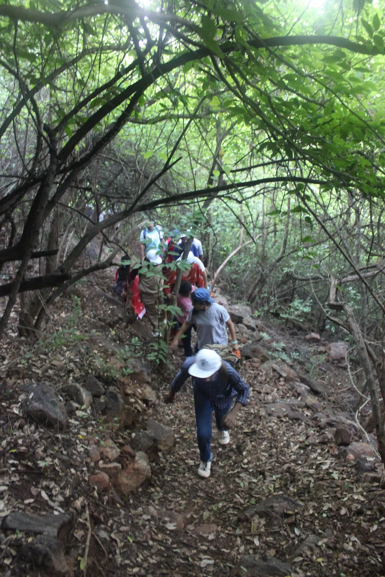 Kambalakonda Wildlife Sanctuary, Visakhapatnam