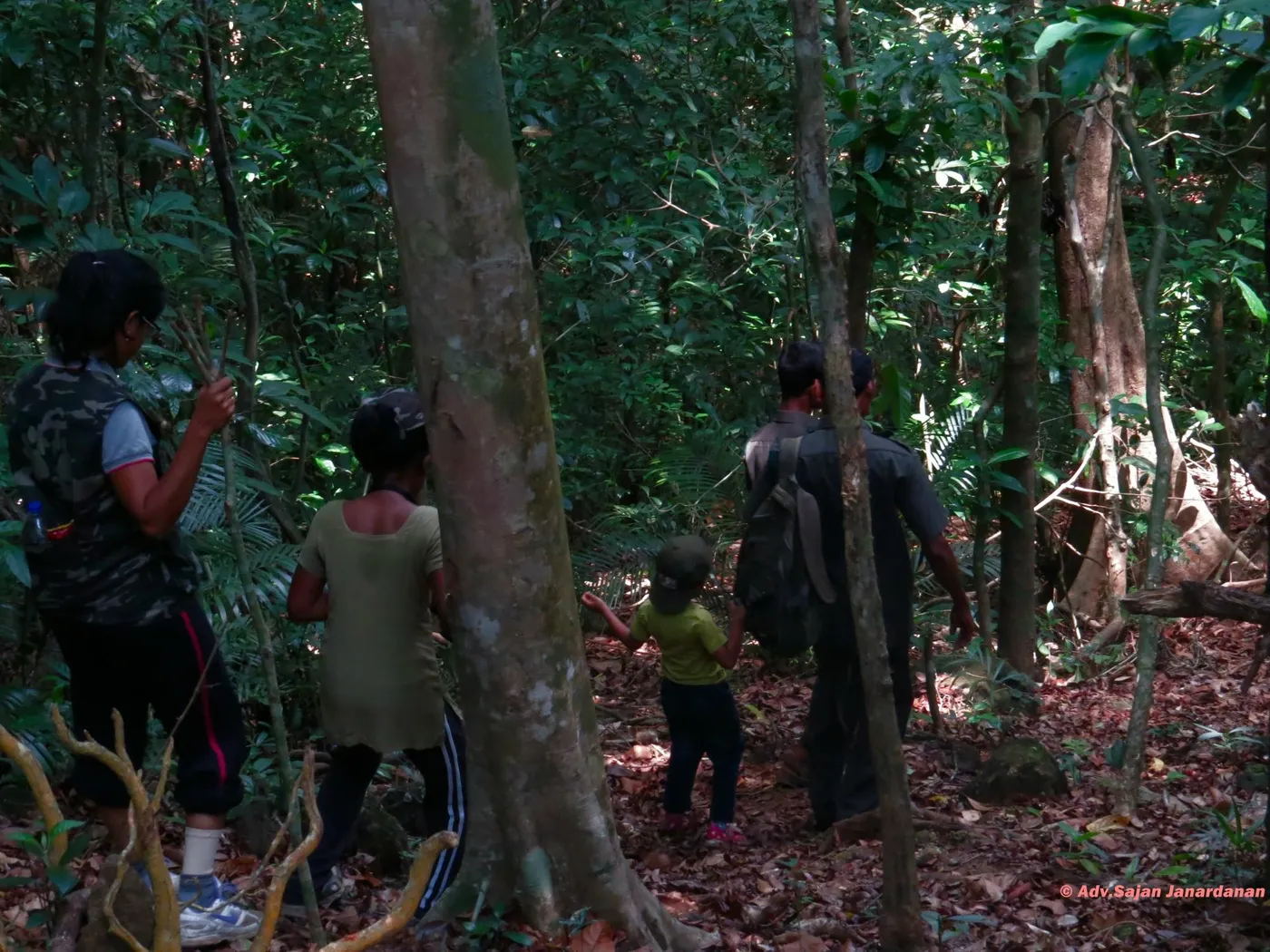 Visit Shenduruny Wildlife Sanctuary, Kollam