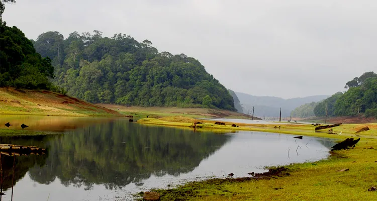 Periyar Lake, Thekkady