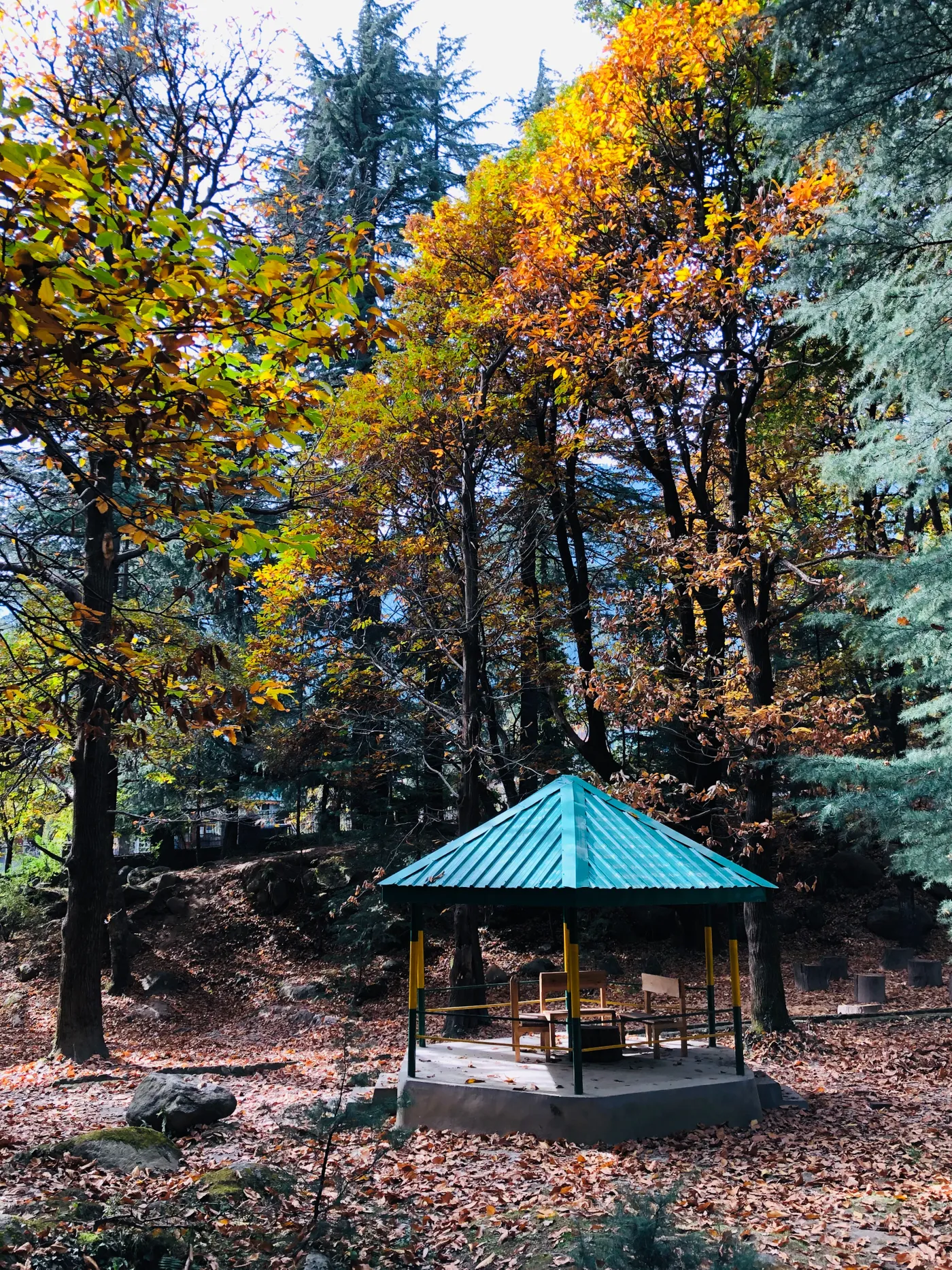 Check out Manali Sanctuary, Manali