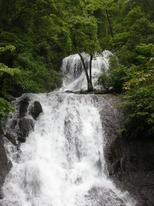Check out Kuskem Waterfall, South Goa