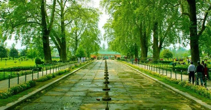 Shalimar Bagh, Srinagar