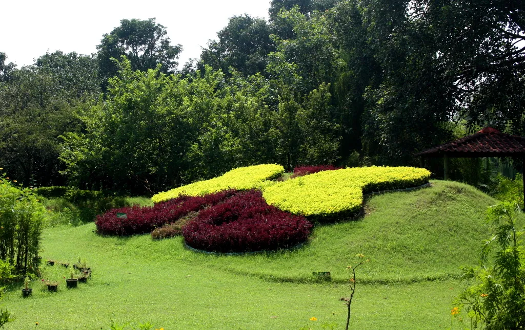 Visit Butterfly Park, Chandigarh