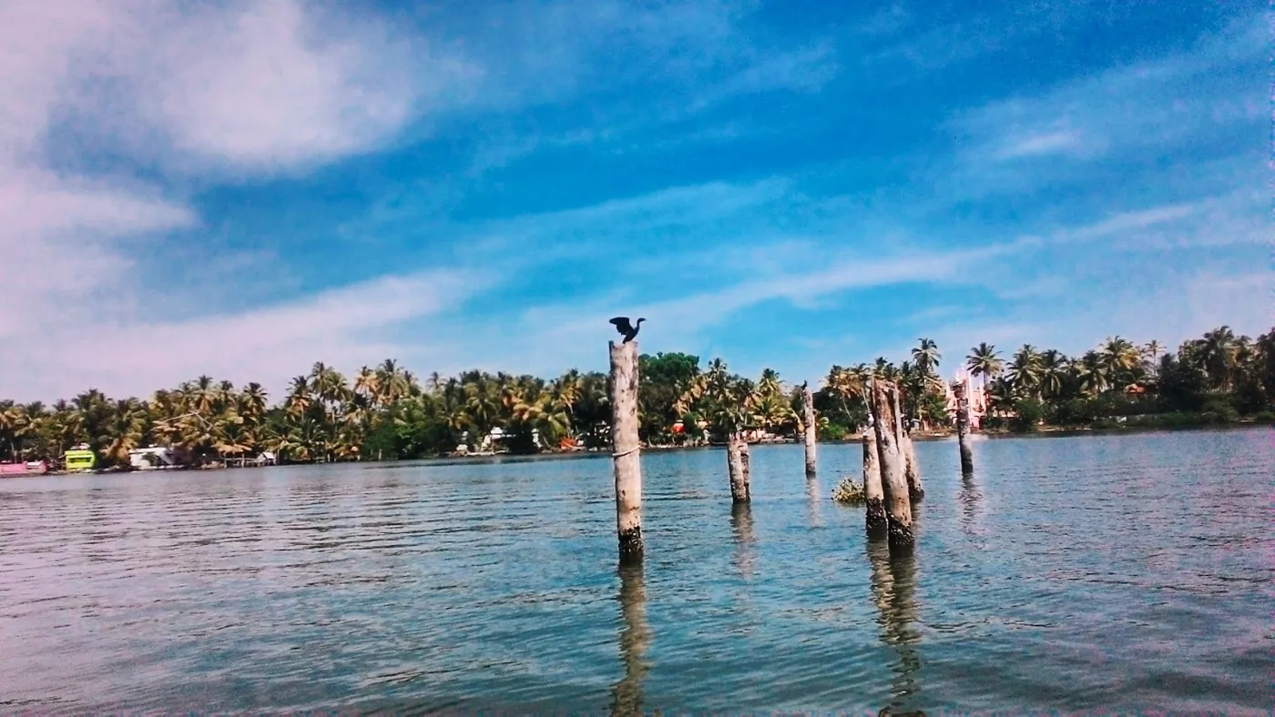 Kayamkulam Lake, Alleppey