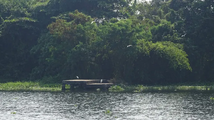 Pathiramanal Island, Alleppey