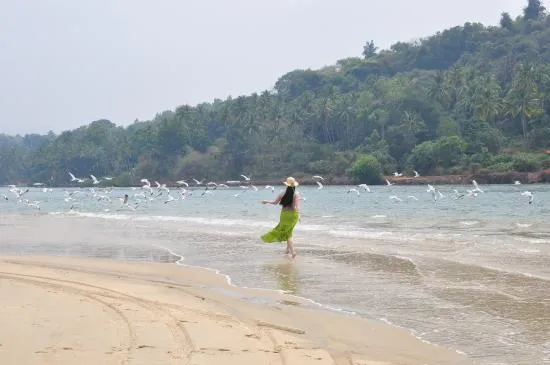 Mobor Beach, South Goa