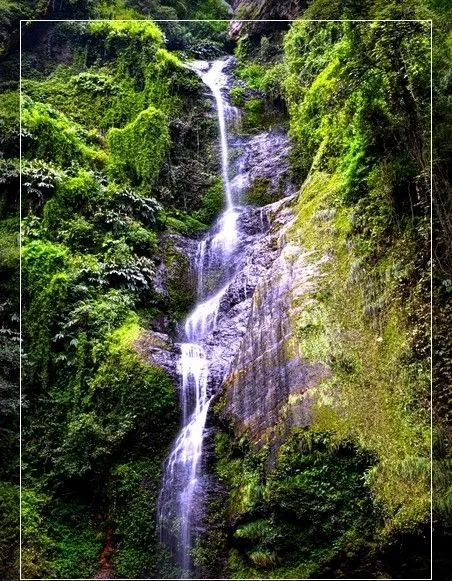 Chadwick Falls, Shimla
