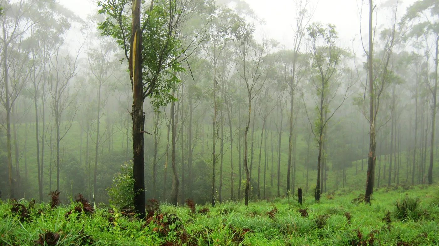 Retreat into Nature’s Lap at Gavi, Thekkady