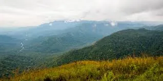 Neelimala View Point, Wayanad