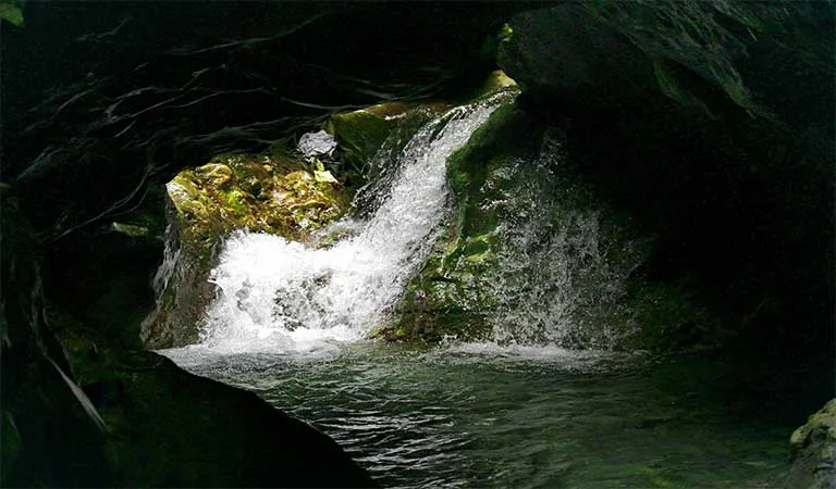 Robbers Cave, Dehradun