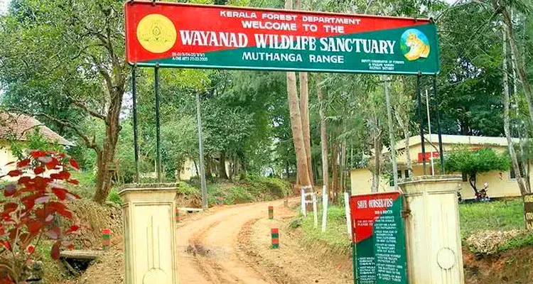 Wayanad Wildlife Sanctuary, Wayanad