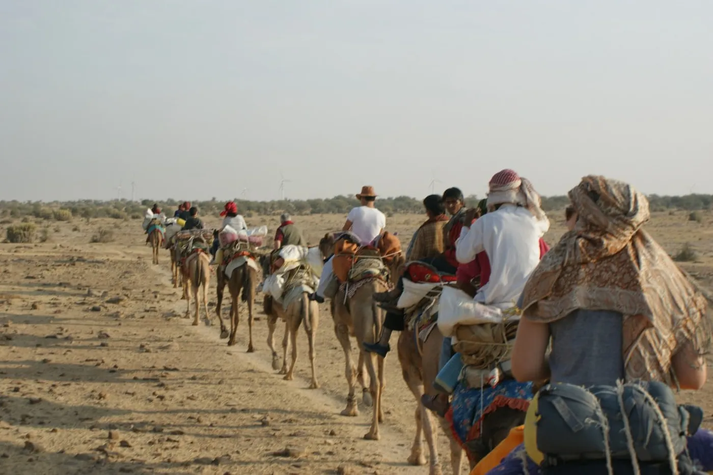 Jodhpur Camel Safari, Jodhpur