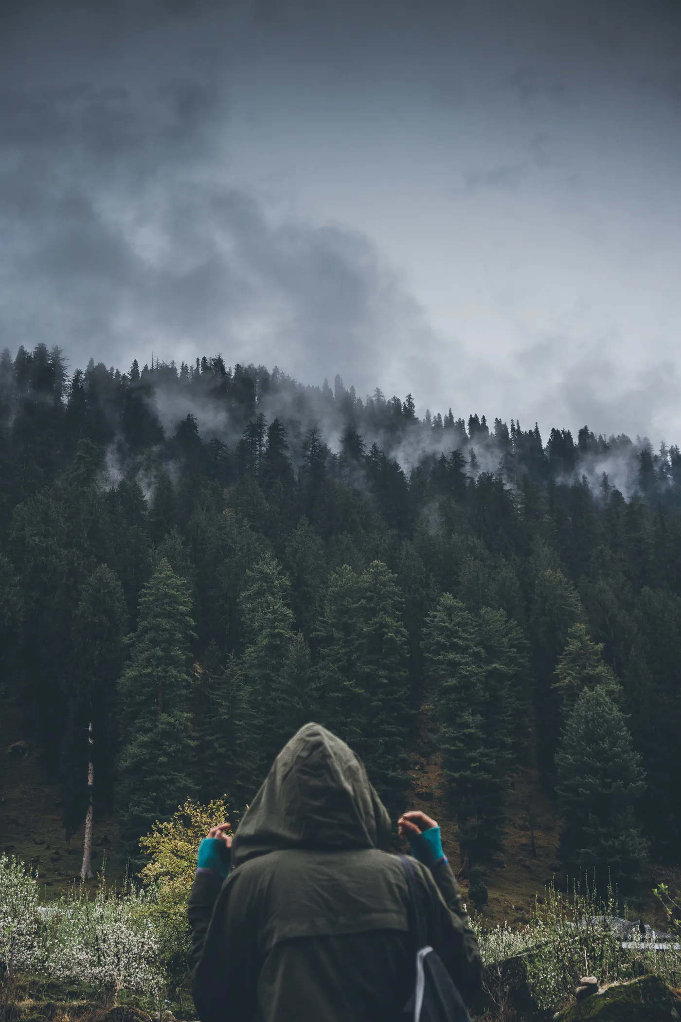 Kalga, Kasol