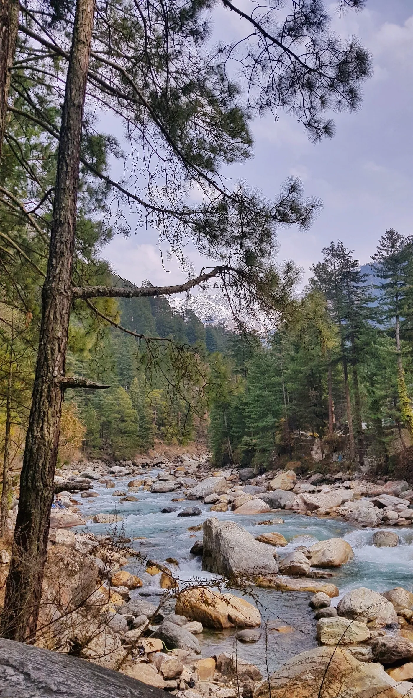 Chalal: Himalayan Nature & Night Trek, Kasol