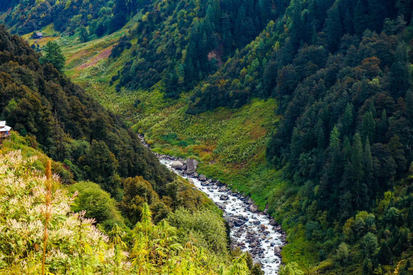 Malana, Kasol