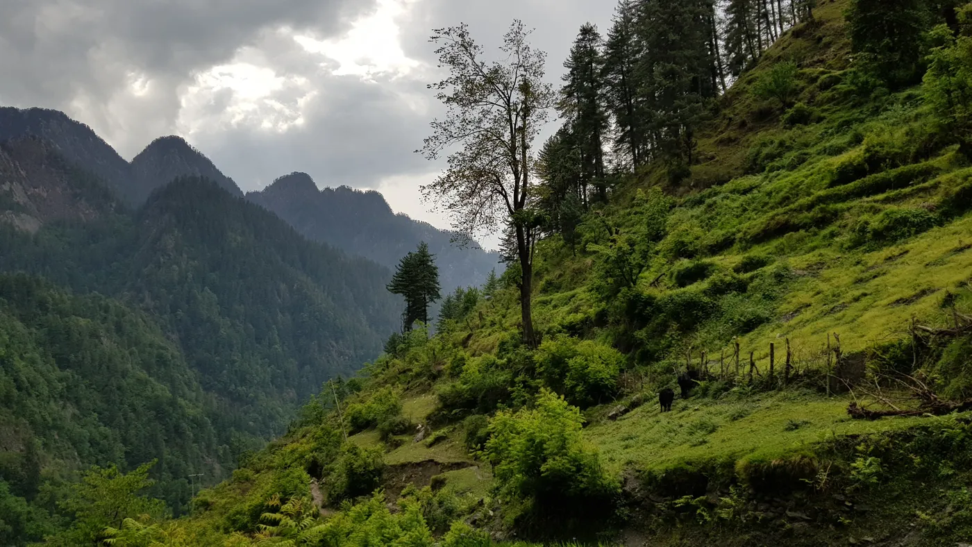 Check out Grahan, Kasol