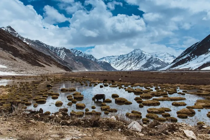 Check out Zanskar the Virgin Valley, Leh