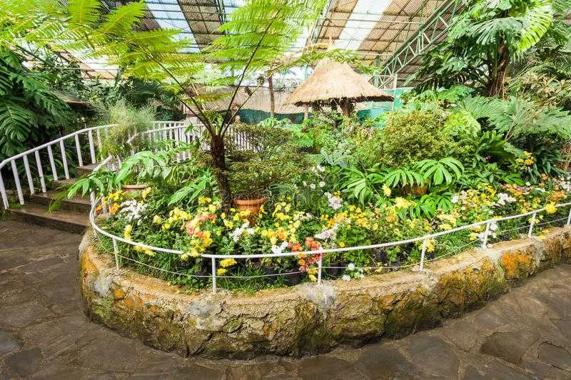 Visit Flower Exhibition Centre, Gangtok