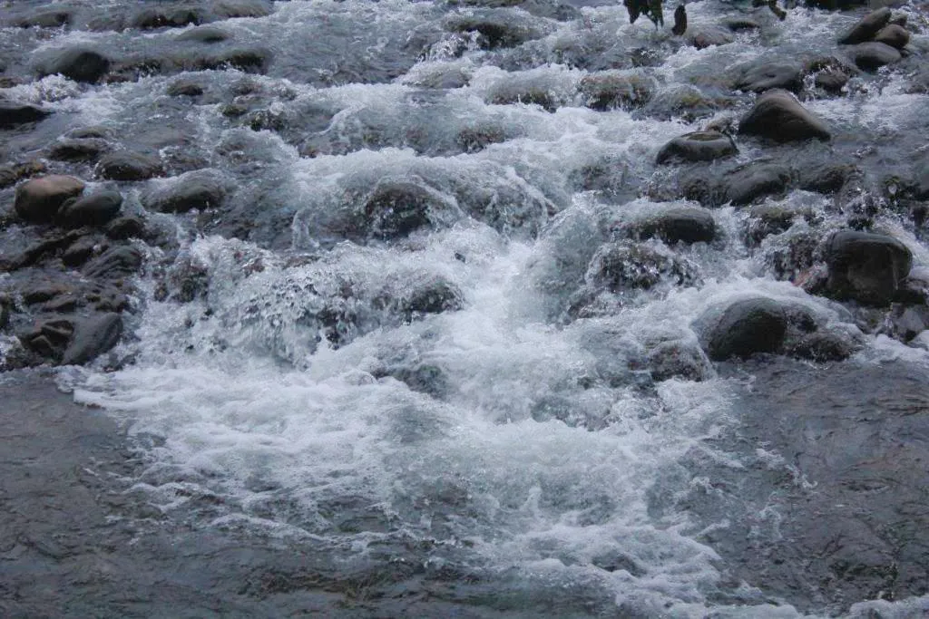 Visit Sangti Valley, Dirang