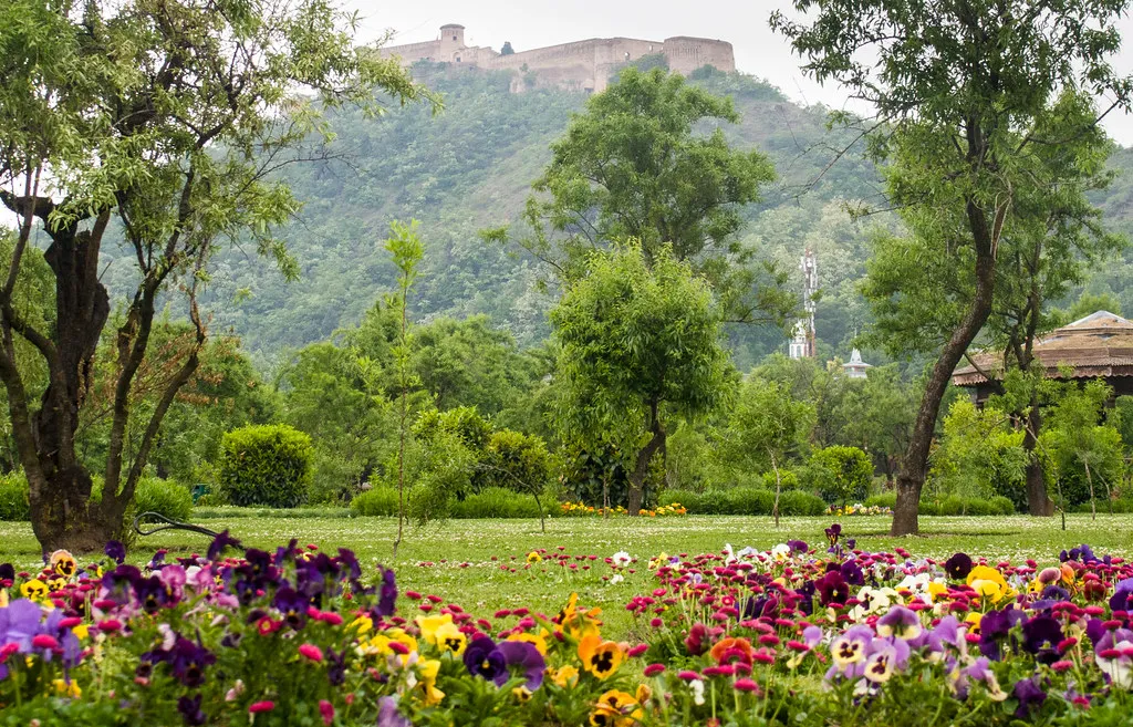Badamwari Garden, Srinagar