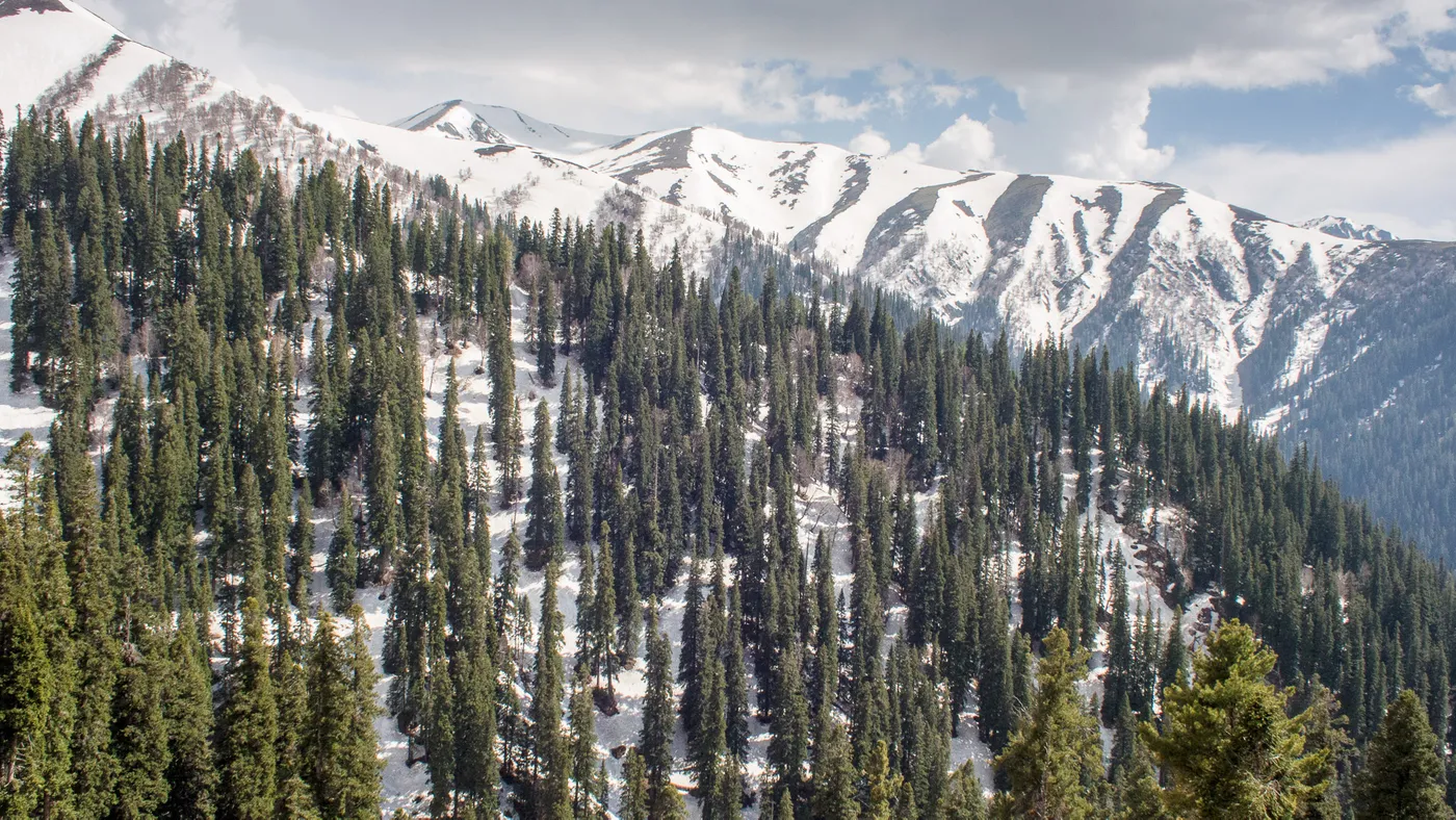 Sinthan Top, Srinagar