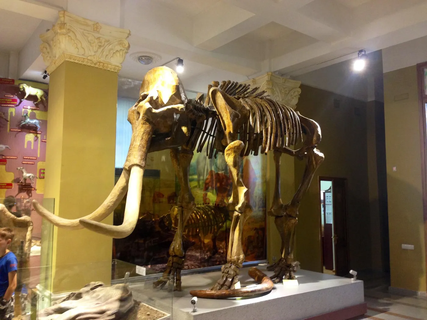 Check out Archeology Museum, Almaty