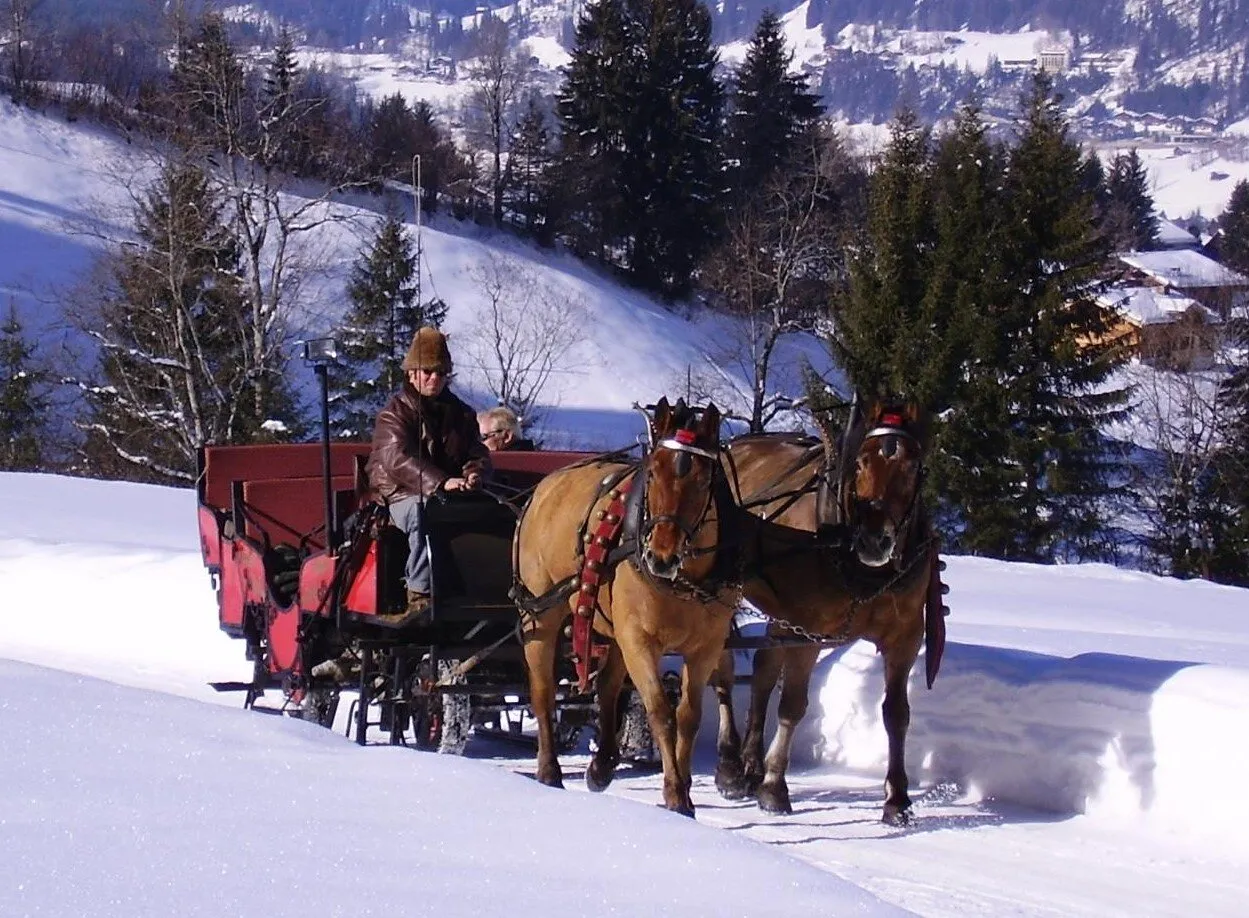 Explore Horse-Drawn Carriage Tours, Gstaad