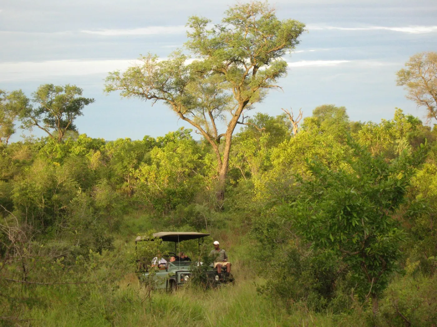 Check out Idube Game Reserve, Kruger National Park