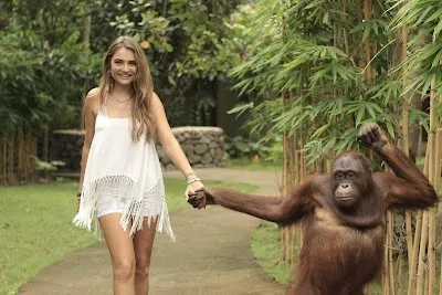 Check out Lombok Wildlife Park, Gili Islands