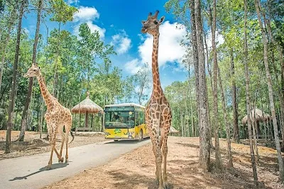 Visit Vinpearl Safari Phú Quốc, Phu Quoc
