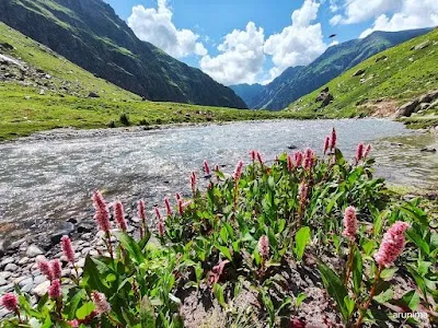 Explore Hampta Pass Trek, Chandratal