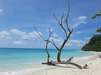Explore Kala Pathar Beach, Havelock