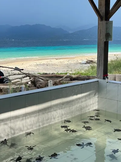 Explore Turtle Sanctuary, Gili Trawangan