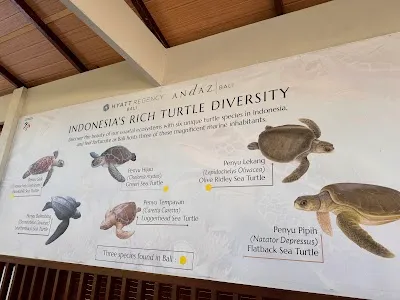Sea Turtle village, Kuta