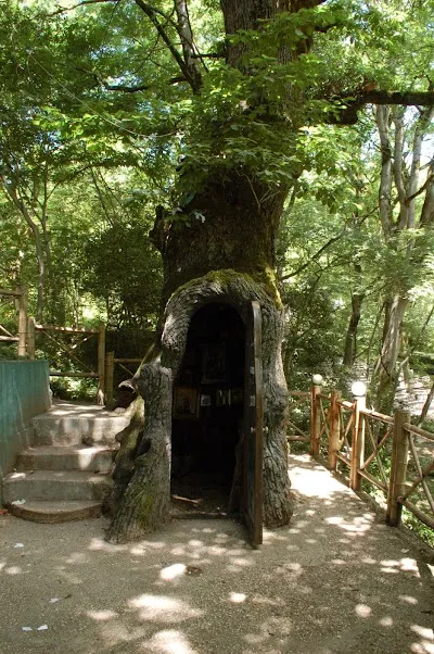Kutaisi: Tranquil Botanical Garden Escape, Kutaisi