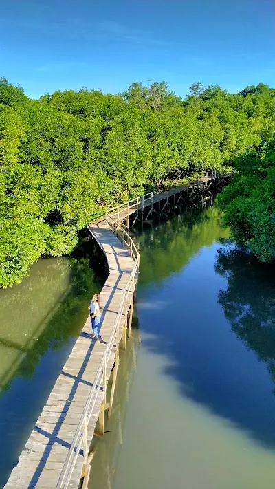 Check out Mangrove Forest Management Center Region I, Sanur