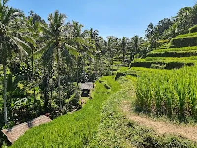 Tegallalang: Bali's Heritage & Adventure Retreat, Ubud