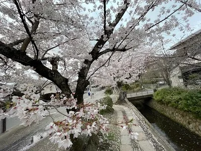 Philosopher's Path, Kyoto