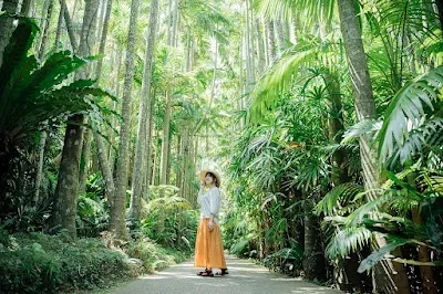 Southeast Botanical Gardens, Okinawa Island