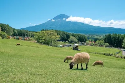 Makino Farm Resort, Fuji