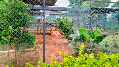 Bird Park & Bird Research Center - Hambantota, Yala National Park